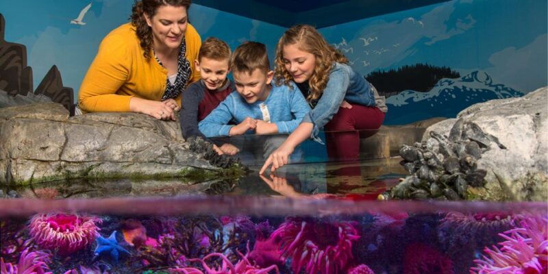 grapevine-sea-life-grapevine-aquarium-general-admission