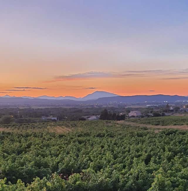 Gras: Sunset Tour on Electric Bike & Wine Tasting - Key Points
