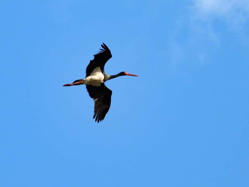 Gravina di Laterza: discover the largest Canyon in Europe - FAQs