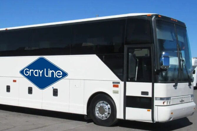 gray-line-ny-sightseeing-flex-pass-to-moma-and-120-options