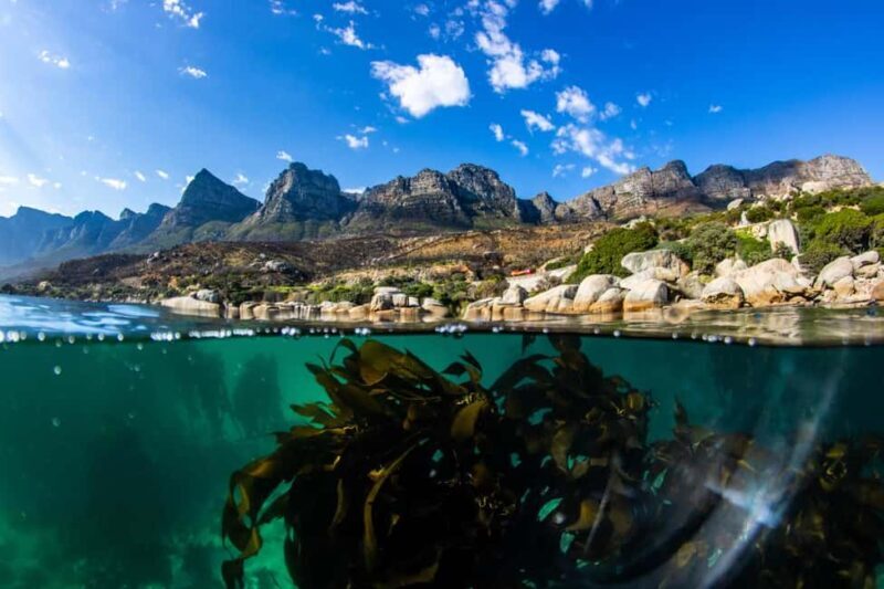 Great African Seaforest Snorkel - Who Should Consider This Tour?