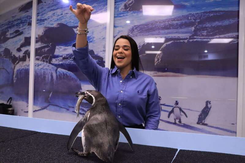 great-aquarium-mazatlan