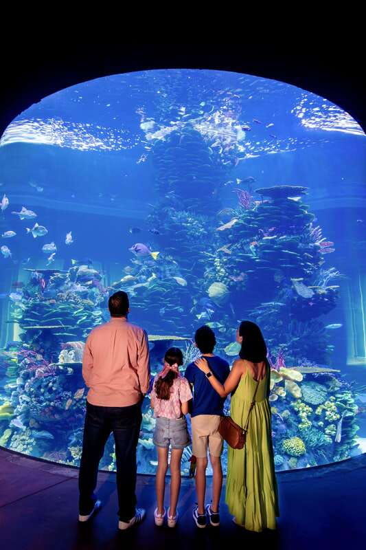 great-aquarium-mazatlan