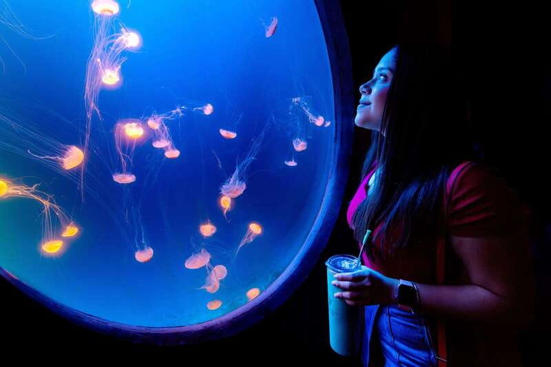 great-aquarium-mazatlan