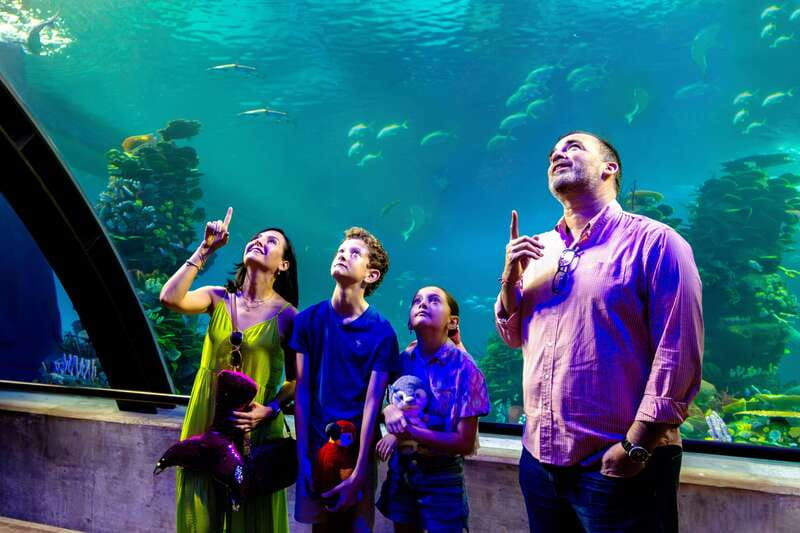 great-aquarium-mazatlan