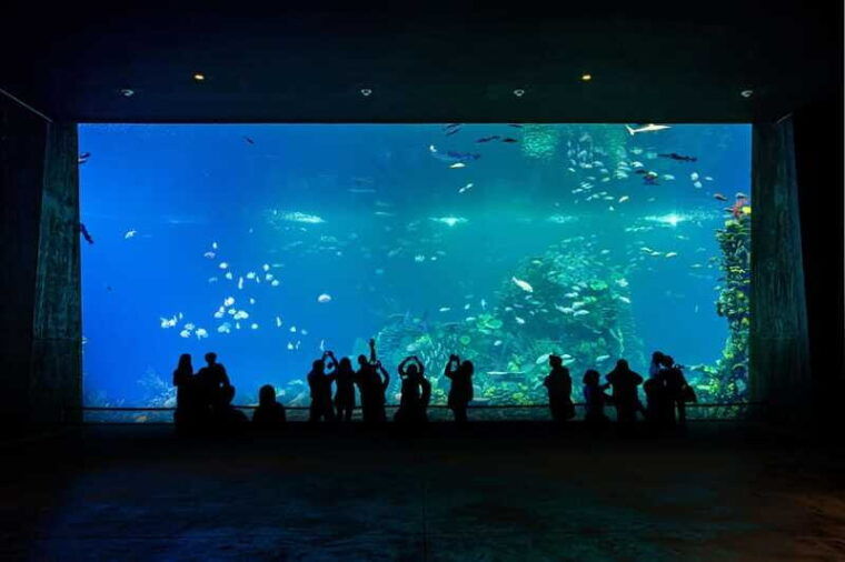 great-aquarium-mazatlan