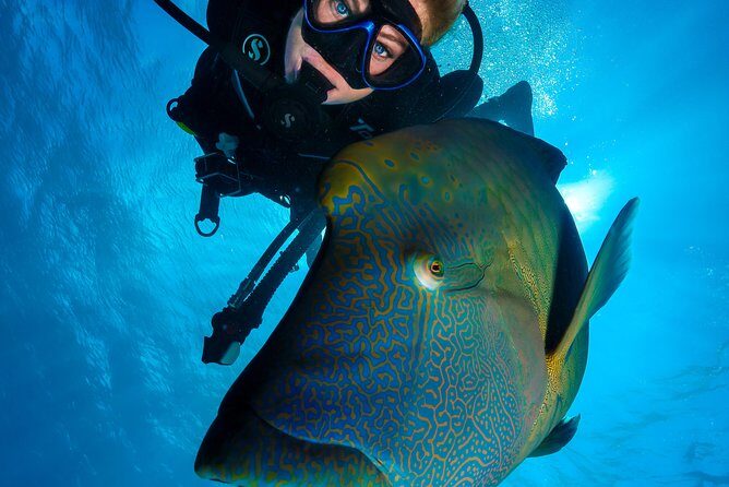 Great Barrier Reef Cruise - Gold Class VIP Lounge Package - Return Journey: Cairns Marlin Marina