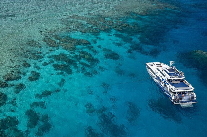 Great Barrier Reef Full Day Tour from Cairns - The Experience: What You Can Expect