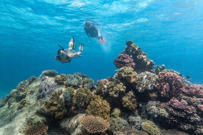 Great Barrier Reef Full Day Tour from Cairns - Who Should Consider This Tour?