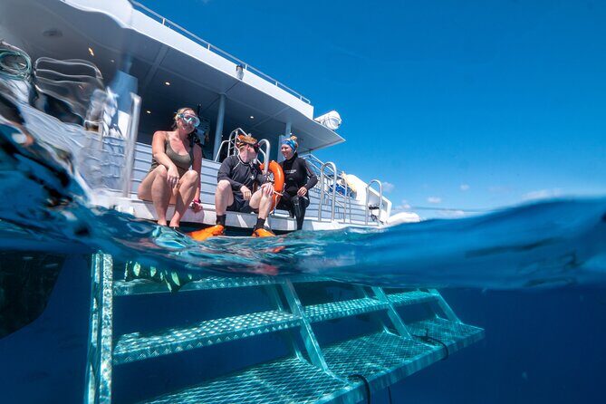 Great Barrier Reef Full Day Tour from Cairns - Practical Tips for Your Reef Trip