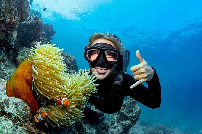 Great Barrier Reef Full Day Tour from Cairns - FAQ