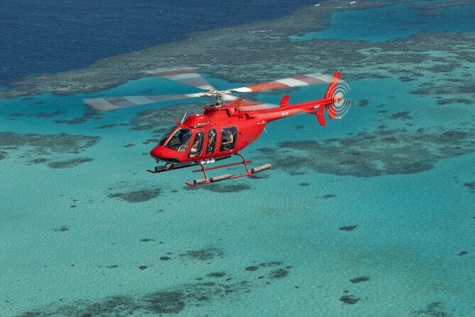 Great Barrier Reef or Rainforest Scenic Flights from Port Douglas - The Experience: What to Expect