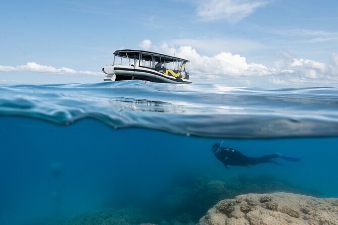 Great Barrier Reef Small Group Snorkelling Adventure - Value for Money and Overall Experience