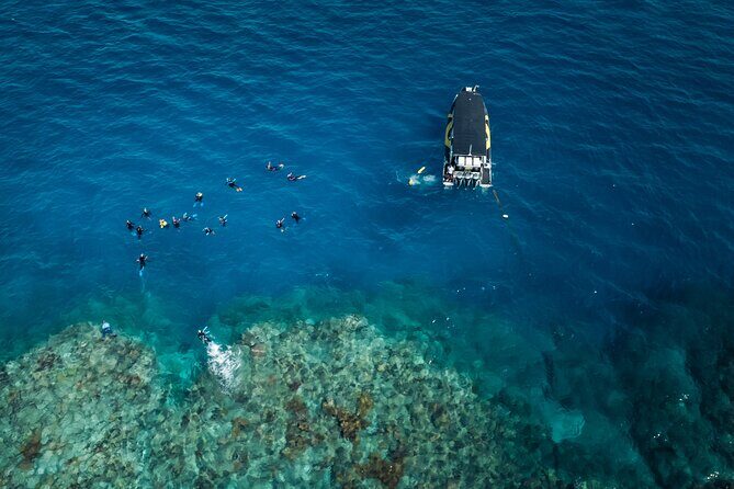 Great Barrier Reef Small Group Snorkelling Adventure - Who Is This Tour Best For?
