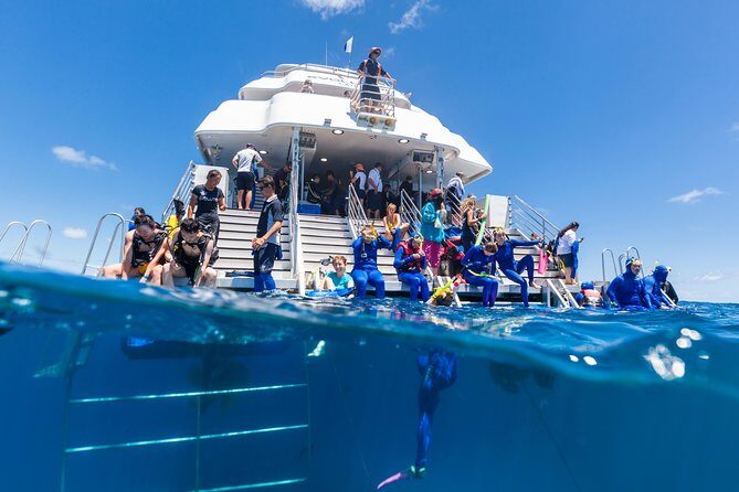 Great Barrier Reef Snorkeling and Diving Cruise from Cairns - An In-Depth Look at the Experience
