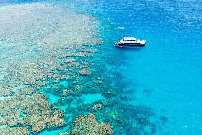Great Barrier Reef with Cultural Guides-Dreamtime Dive & Snorkel - Why This Tour Delivers Great Value