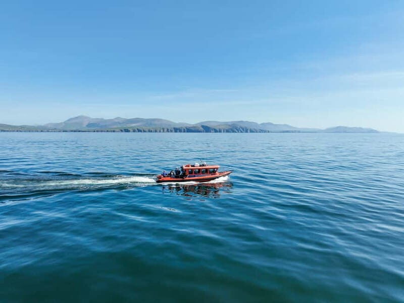 Great Blasket Island Wildlife Tour with Island Landing - What to Expect: From Seas to Shores