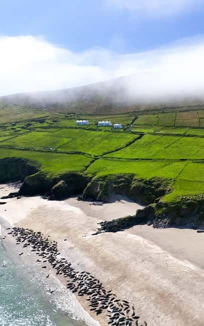 Great Blasket Island Wildlife Tour with Island Landing - FAQ