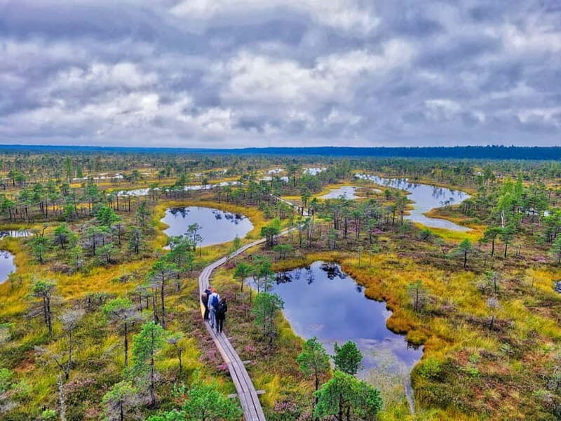 Great emeri Bog & Swamp Forest Hiking Adventure - An Overview of the Experience