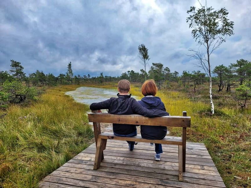 Great emeri Bog & Swamp Forest Hiking Adventure - What You’ll Love About This Tour
