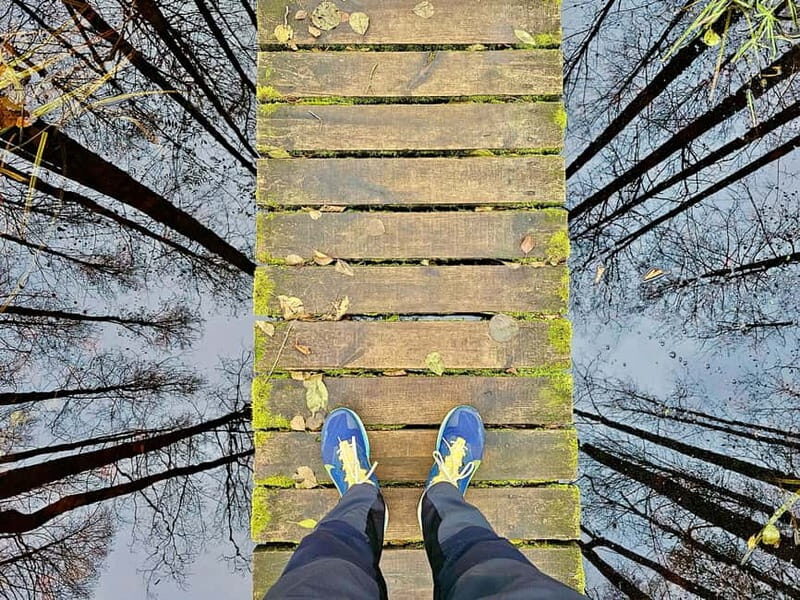 Great emeri Bog & Swamp Forest Hiking Adventure - How the Reviewers Feel