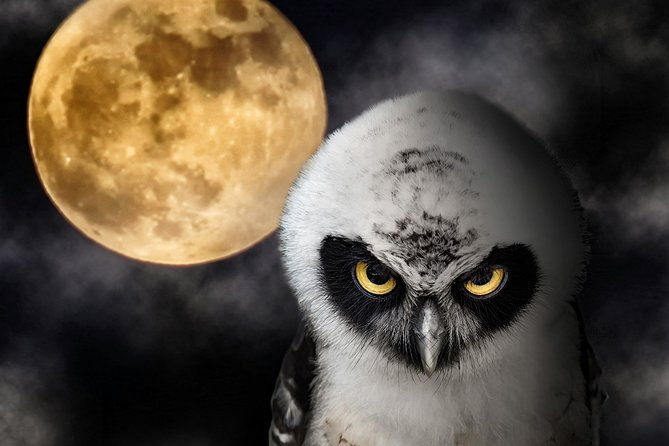 great-galveston-red-light-district-tour