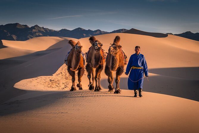 Great Gobi Desert and Ancient Mongolia 12 days - The Value and Who It’s For