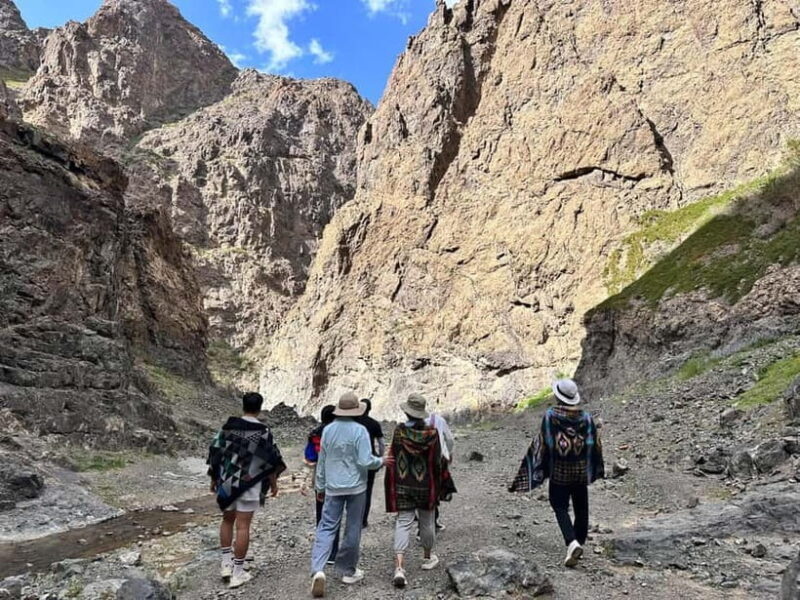 Great Gobi to Khuvsgul Lake 16 Days Tour - Who Should Consider This Tour?