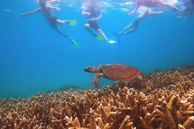 Great Keppel Island Day Trip with Lunch - Authentic Experiences and Insights from Reviewers