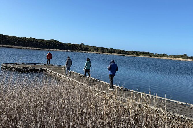 Great Ocean Road and 12 Apostles Private Day Tour - Who Will Love This Tour?