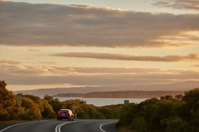 Great Ocean Road and 12 Apostles Tour - Key Points