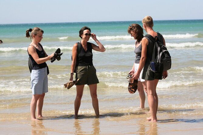 Great Ocean Road Full-Day Sunset Eco Tour from Melbourne - Practical Tips for Booking and Enjoying the Tour