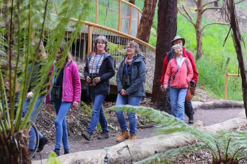 Great Ocean Road: Guided Wildlife Walk that Supports Nature - Key Points
