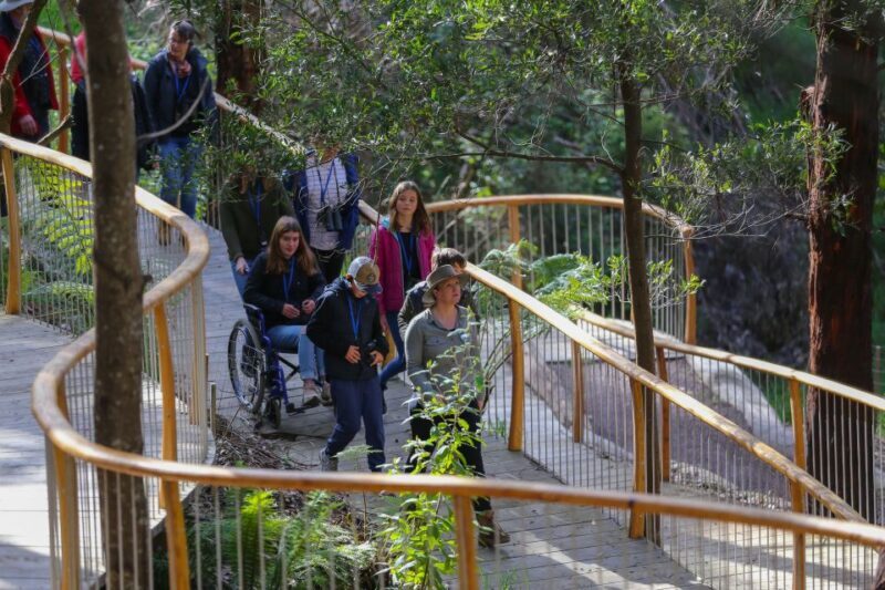 Great Ocean Road: Guided Wildlife Walk that Supports Nature - Why This Wildlife Walk Is Worth Your Time