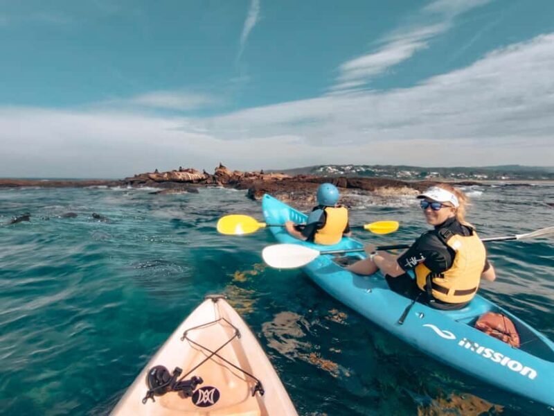 Great Ocean Road: Kayaking with Seals Tour - Key Points