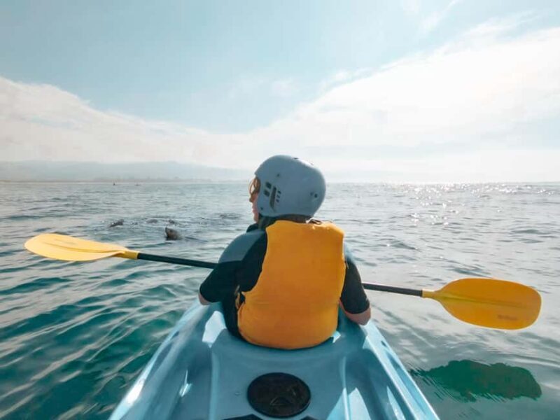Great Ocean Road: Kayaking with Seals Tour - Who Should Consider This Tour?