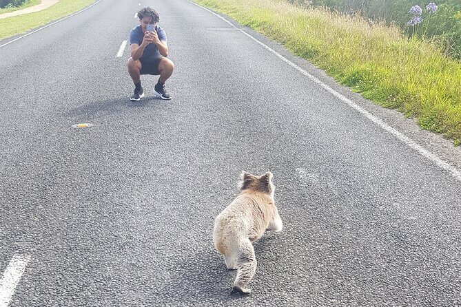 Great Ocean Road - Private Express Tour - What Makes This Tour Stand Out