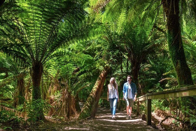 Great Ocean Road Small-Group Eco Tour from Melbourne - This Tour Is Perfect For...
