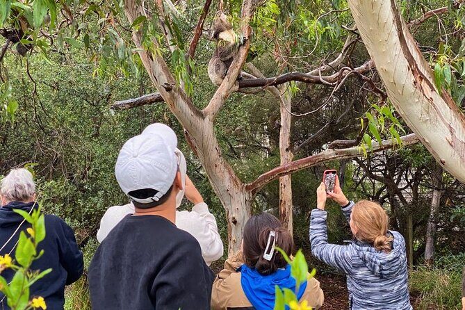 Great Ocean Road Small-Group Eco Tour from Melbourne - Final Thoughts