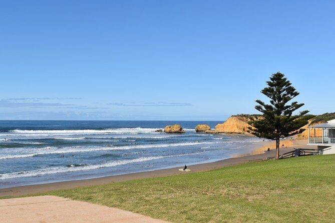 Great Ocean Road Tour Plus Koalas, Forest Walk and Morning Tea - The Bottom Line: Who Is This Tour Best For?