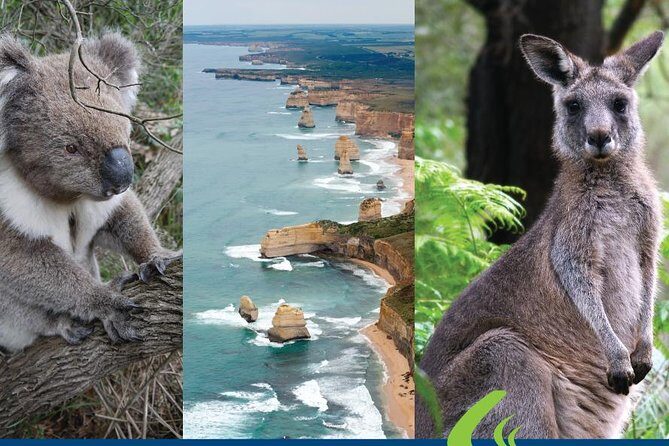 Great Ocean Road Ultimate Two Day Tour - FAQ: Your Common Questions Answered