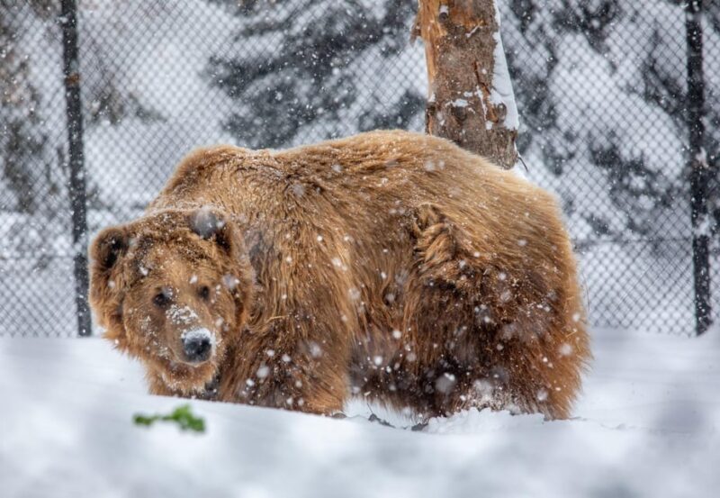 Great Plains Zoo - What We Like Most