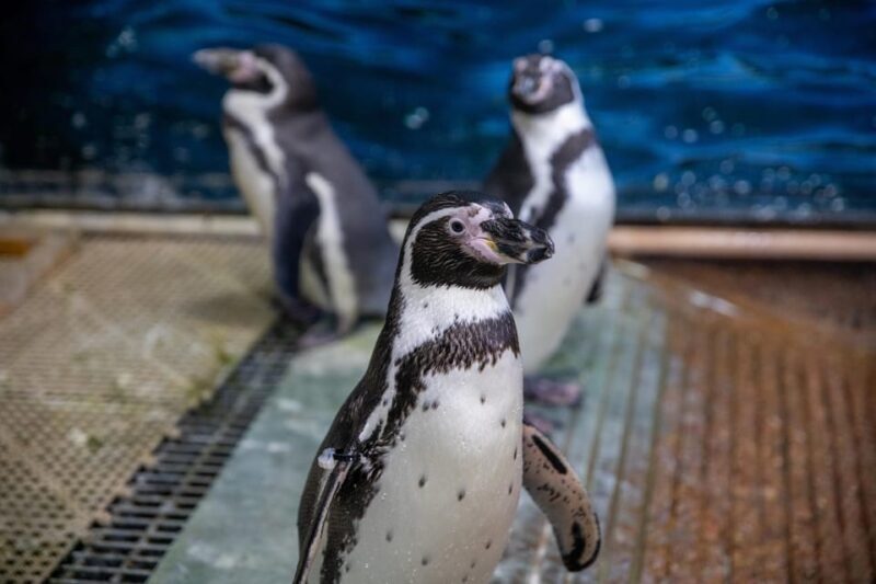 Great Plains Zoo - Who Should Visit?