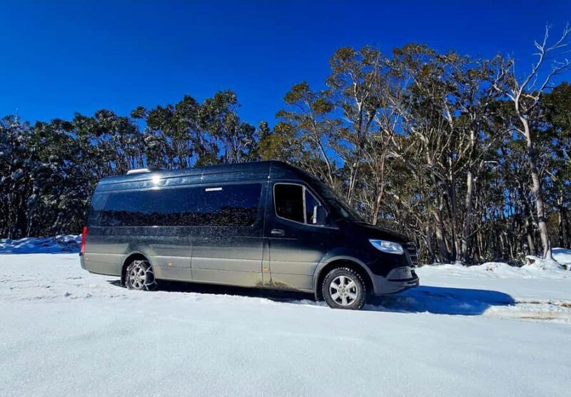 Great Private Tours Luxe Bus Lake Mountain Snow Play Tour - Key Points