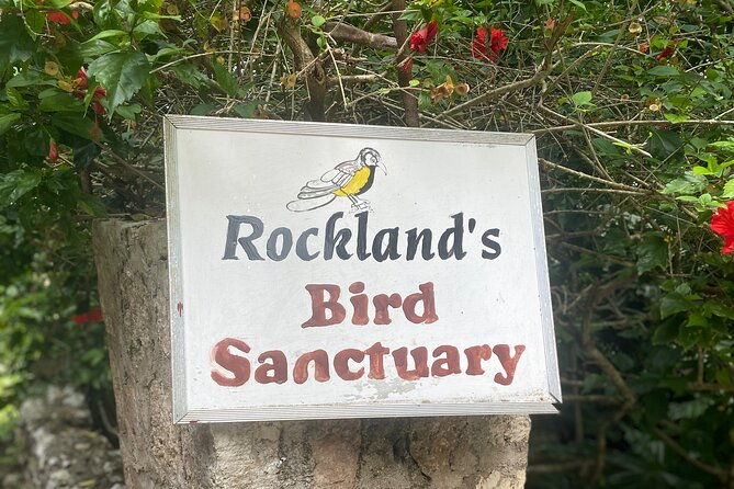 great-river-bamboo-rafting-and-bird-sanctuary-combine-tour-from-montego-bay