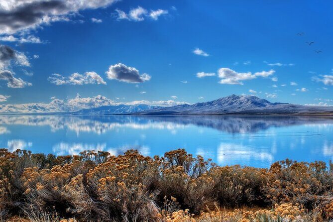 Great Salt Lake and Antelope Island Day Tour - The Experience in Depth