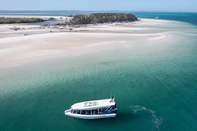 Great Sandy Straits Seven Island Ultimate Wildlife Cruise - Introduction