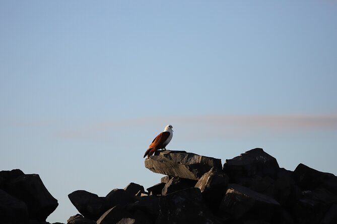 Great Sandy Straits Seven Island Ultimate Wildlife Cruise - Final Thoughts