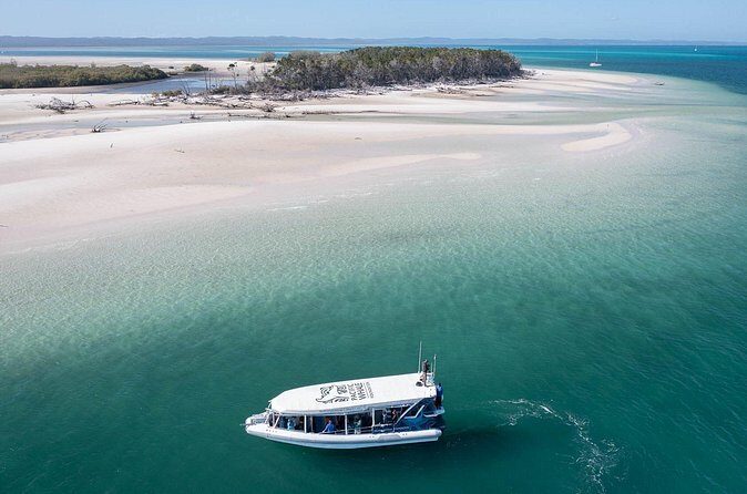 Great Sandy Straits Seven Island Ultimate Wildlife Cruise - Frequently Asked Questions