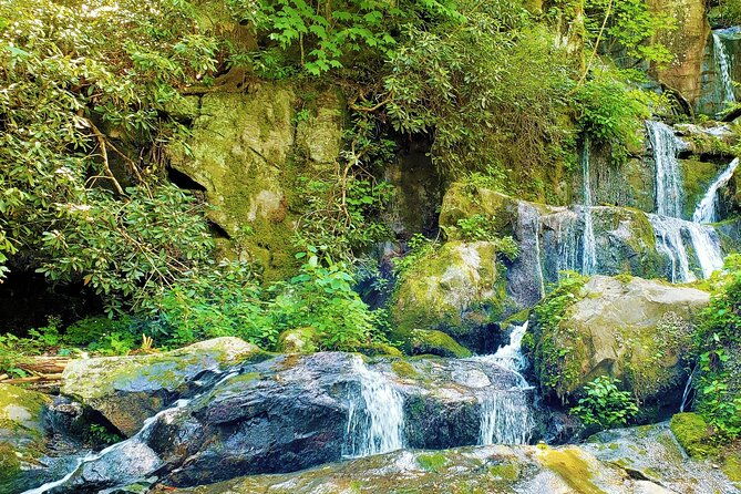 great-smoky-mountains-cades-cove-self-guided-driving-tours